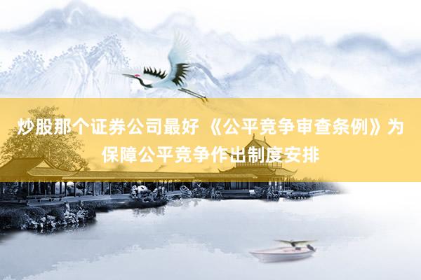 炒股那个证券公司最好 《公平竞争审查条例》为保障公平竞争作出制度安排
