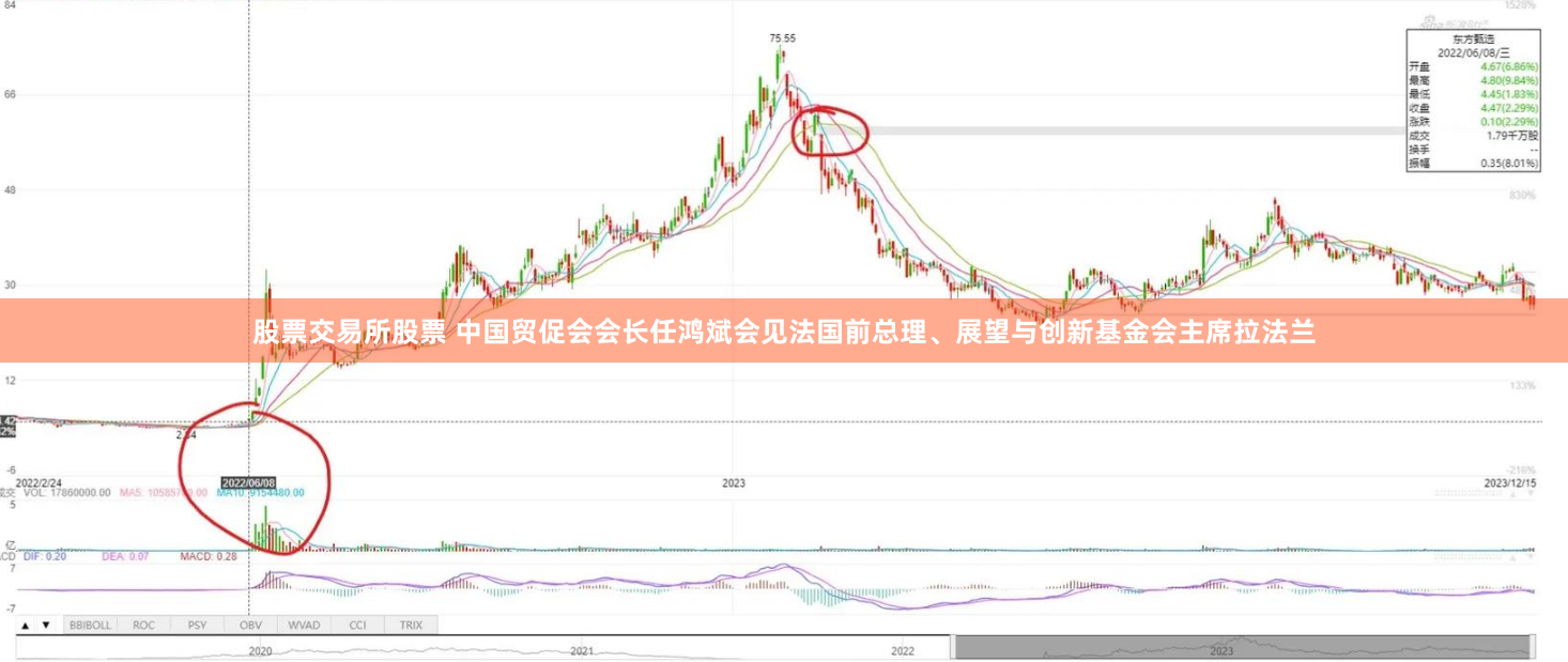股票交易所股票 中国贸促会会长任鸿斌会见法国前总理、展望与创新基金会主席拉法兰