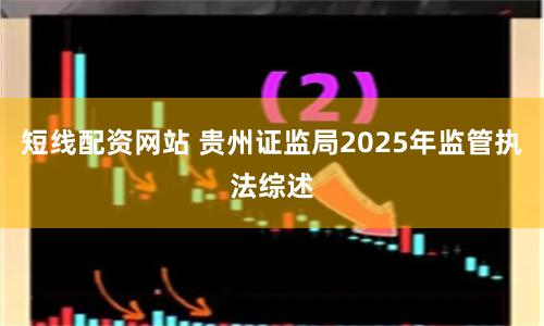 短线配资网站 贵州证监局2025年监管执法综述